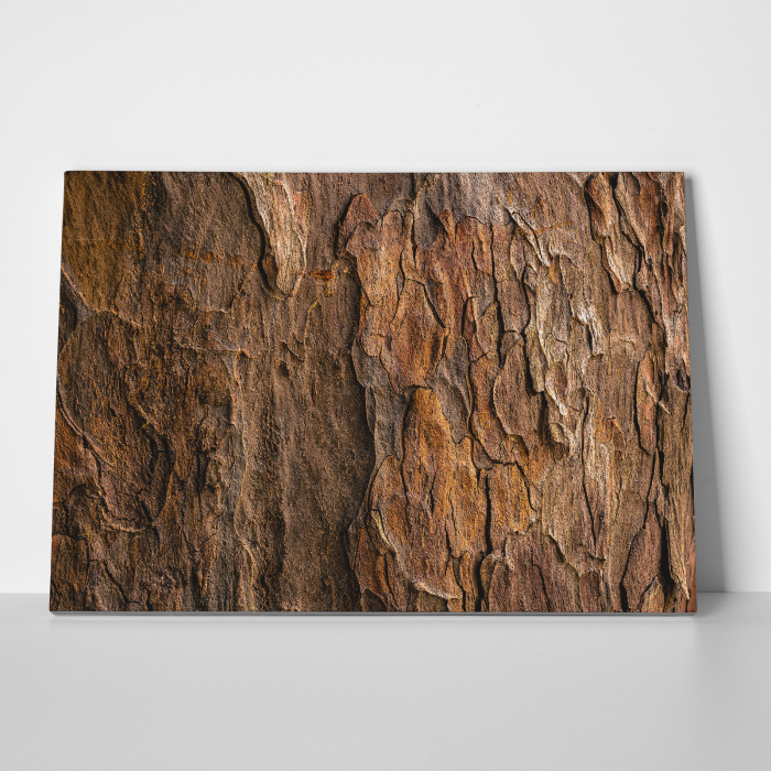Tablou canvas abstract, Scoarta de copac putrezita [3]
