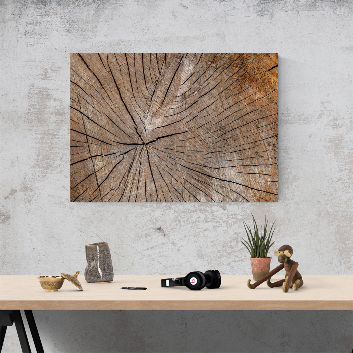 Tablou canvas abstract, Sectiune in lemn [4]