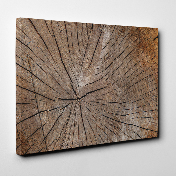 Tablou canvas abstract, Sectiune in lemn [2]