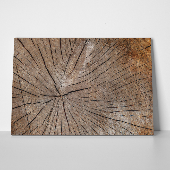 Tablou canvas abstract, Sectiune in lemn [3]