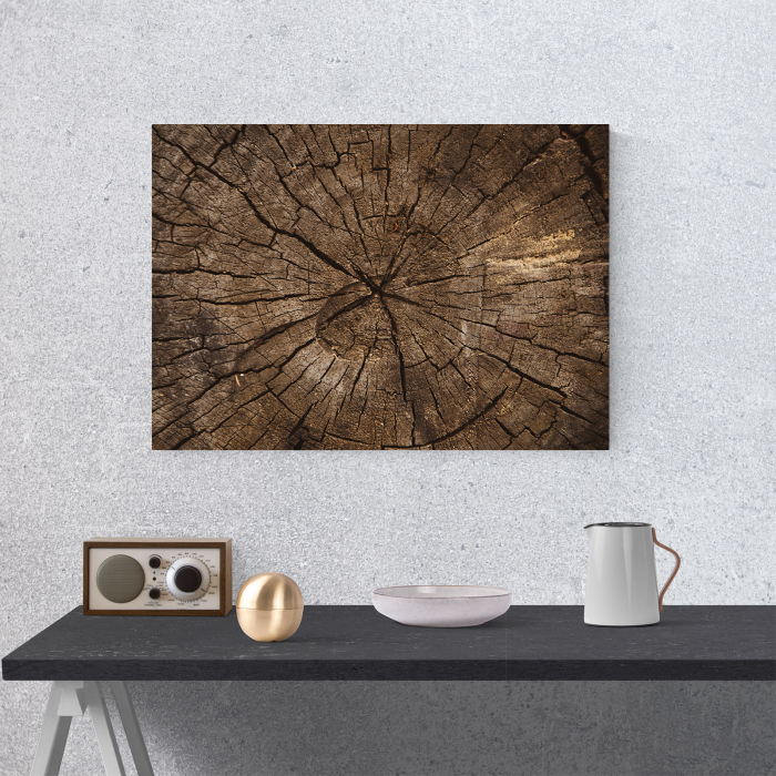 Tablou canvas abstract, Sectiune in trunchi de copac [4]