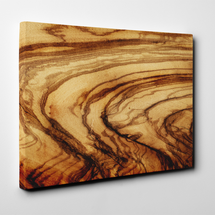 Tablou canvas abstract, Sectiune trunchi copac [4]
