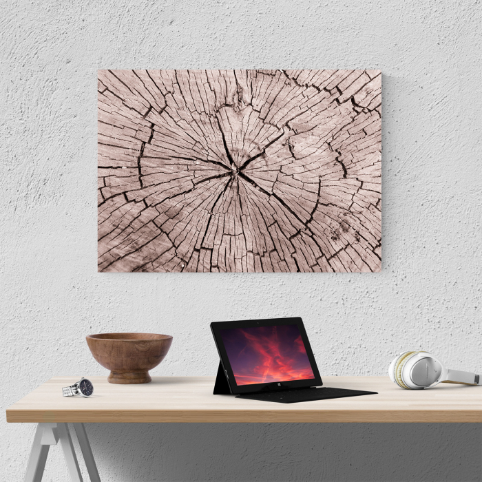 Tablou canvas abstract, Sectiune trunchi de copac [4]