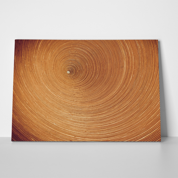Tablou canvas abstract, Spirala [3]