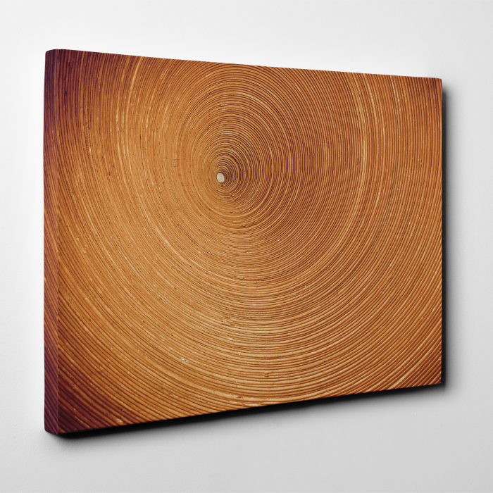 Tablou canvas abstract, Spirala [2]