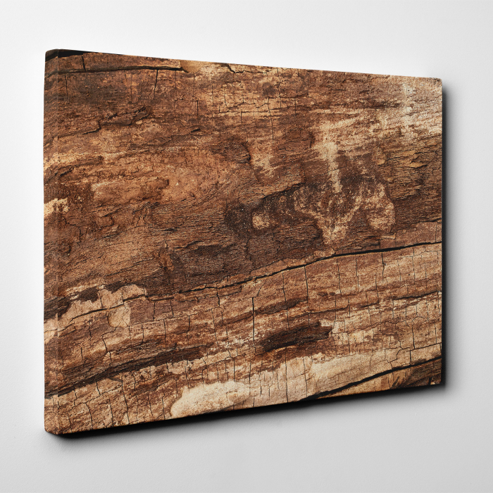 Tablou canvas abstract, Textura scoarta de copac [2]