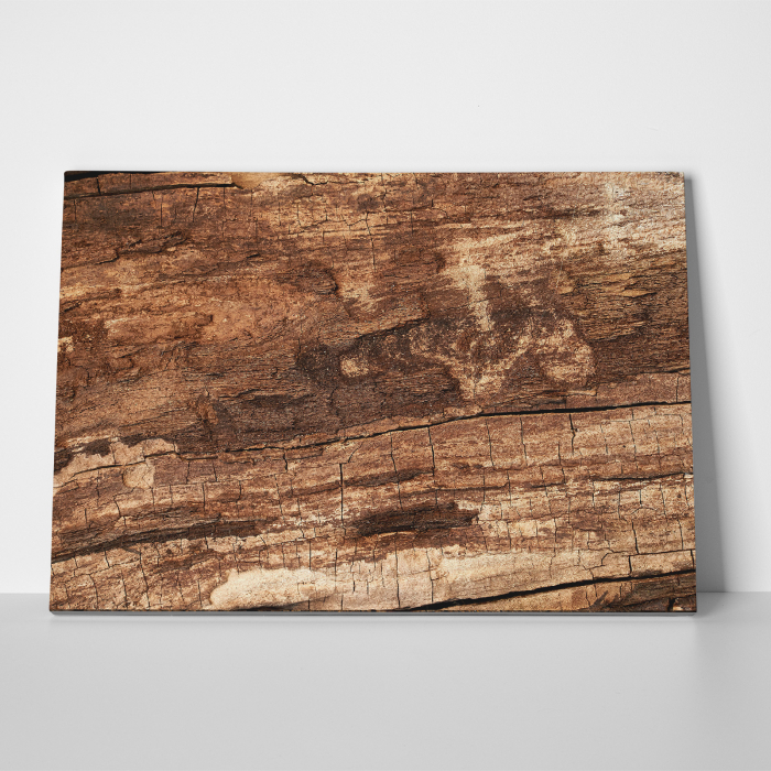 Tablou canvas abstract, Textura scoarta de copac [3]