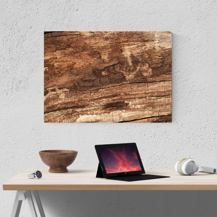 Tablou canvas abstract, Textura scoarta de copac [4]