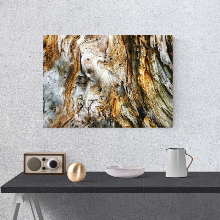 Tablou canvas abstract, Trunchi de copac putrezit [4]