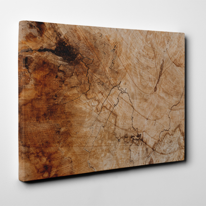 Tablou canvas abstract, Trunchi vechi de copac [2]