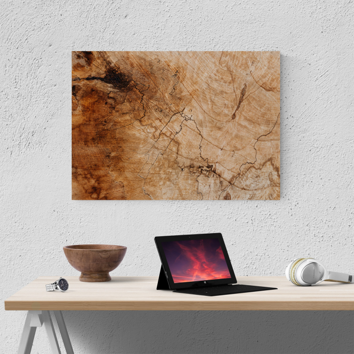 Tablou canvas abstract, Trunchi vechi de copac [4]