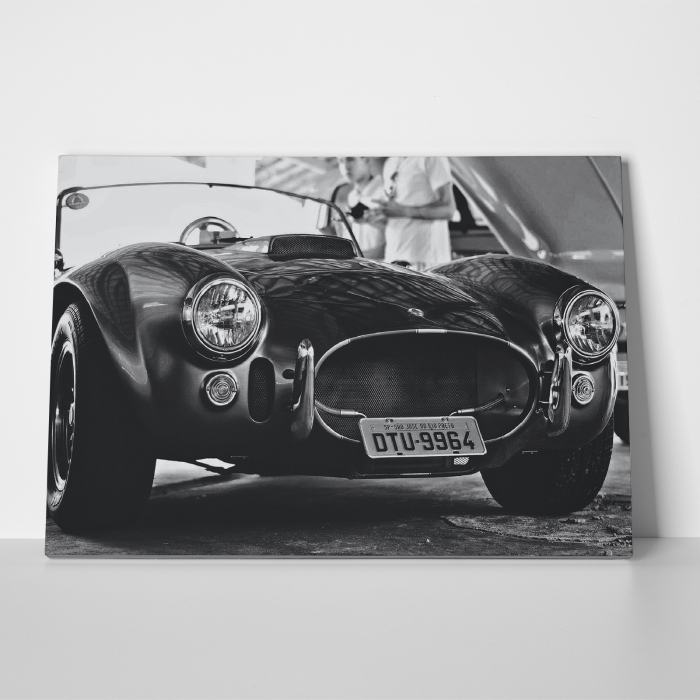 Tablou canvas auto-moto, Classic sports car [3]
