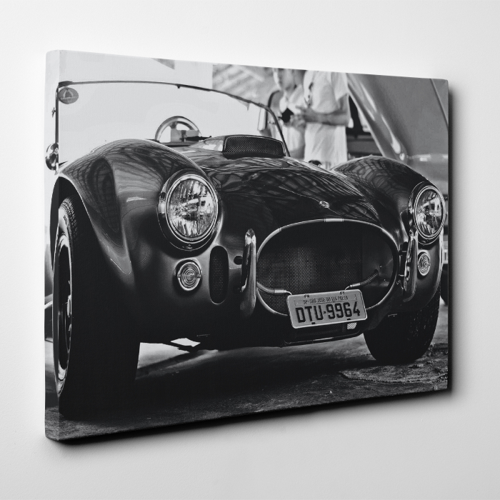 Tablou canvas auto-moto, Classic sports car [2]