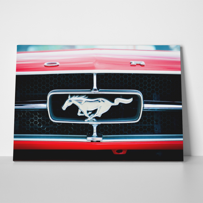 Tablou canvas auto-moto, Ford Mustang logo grila [3]