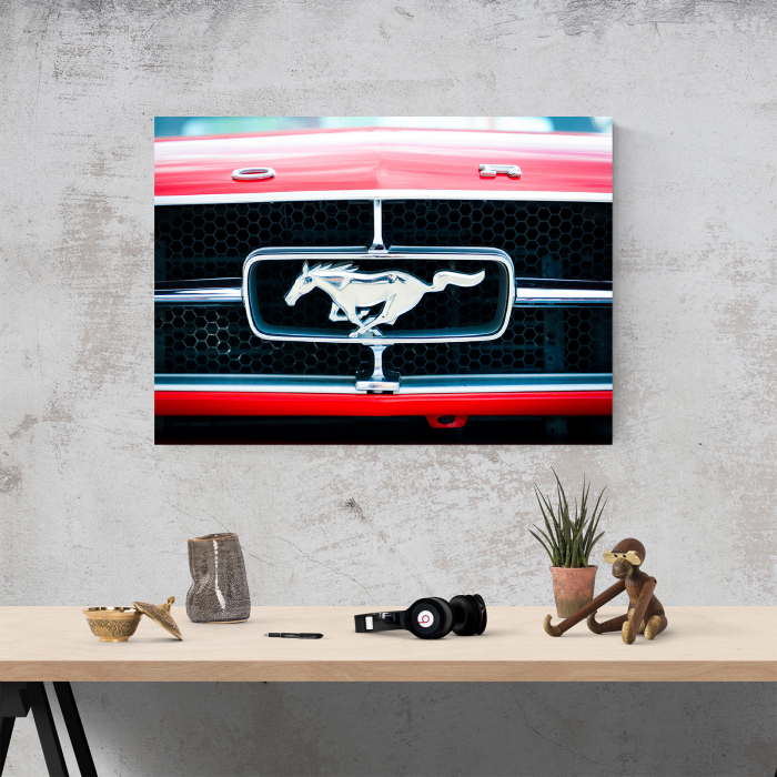 Tablou canvas auto-moto, Ford Mustang logo grila [4]