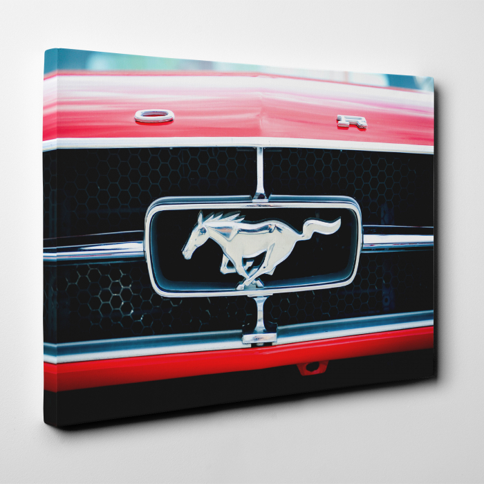 Tablou canvas auto-moto, Ford Mustang logo grila [2]