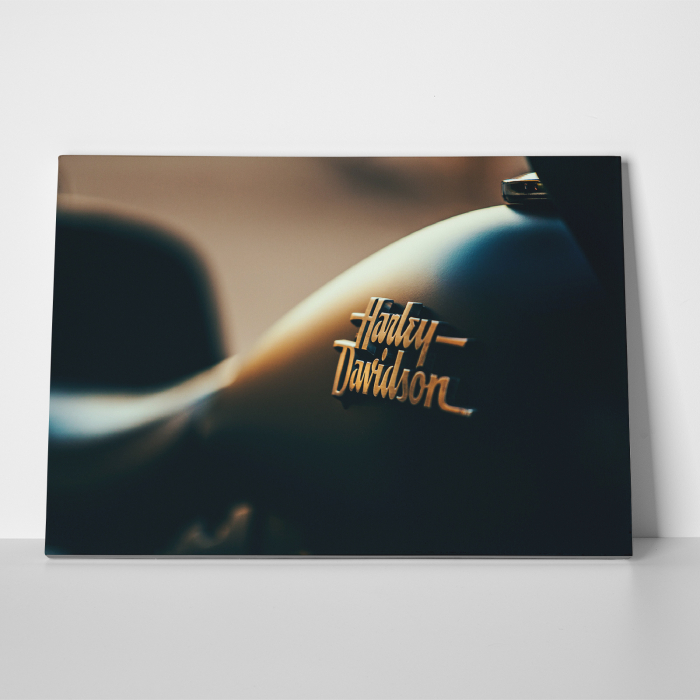 Tablou canvas auto-moto, Harley Davidson logo [3]