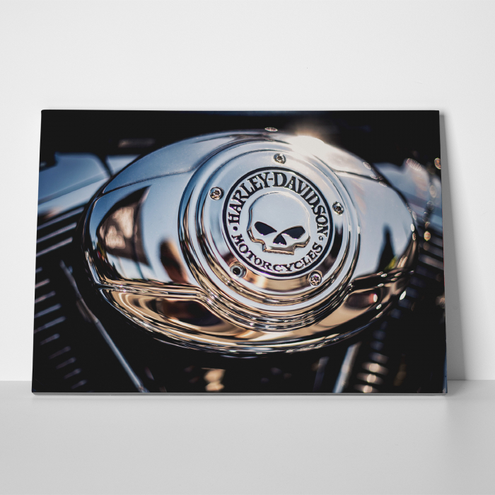 Tablou canvas auto-moto, Harley Davidson Motorcycles [3]