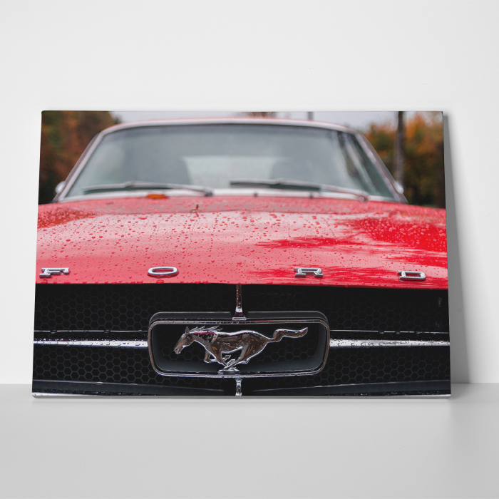 Tablou canvas auto-moto, Red Ford Mustang [3]