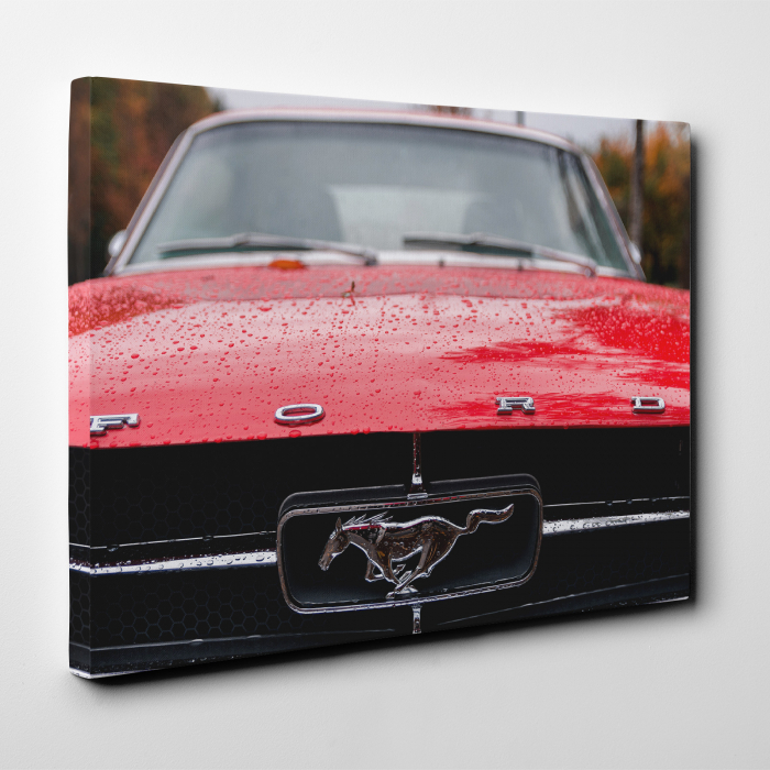 Tablou canvas auto-moto, Red Ford Mustang [2]