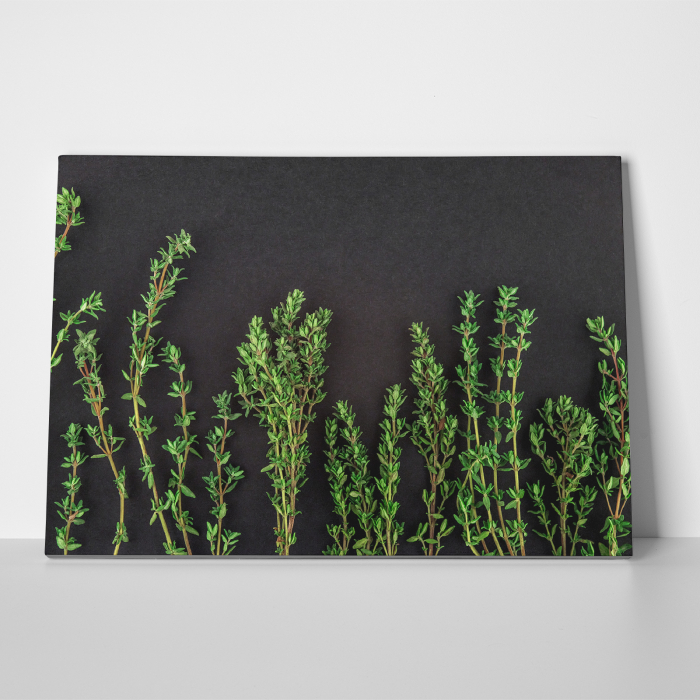 Tablou canvas bucatarie, Crengute verzi de cimbru [3]