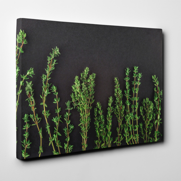 Tablou canvas bucatarie, Crengute verzi de cimbru [2]