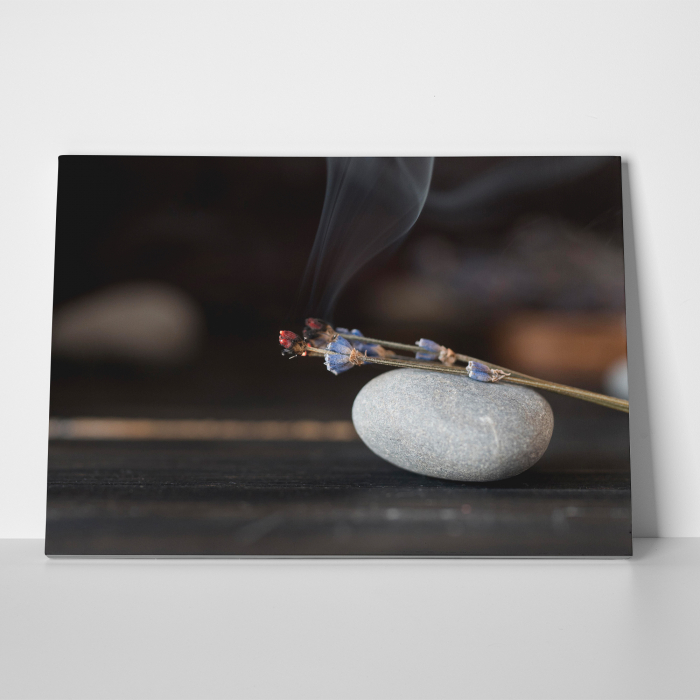 Tablou canvas Feng Shui, motiv oriental, Aromatic Plants [2]