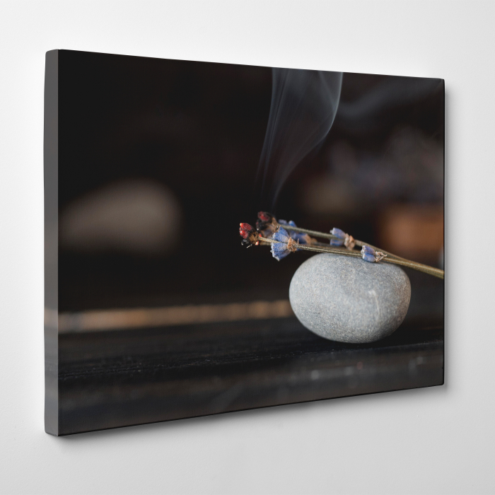 Tablou canvas Feng Shui, motiv oriental, Aromatic Plants [3]