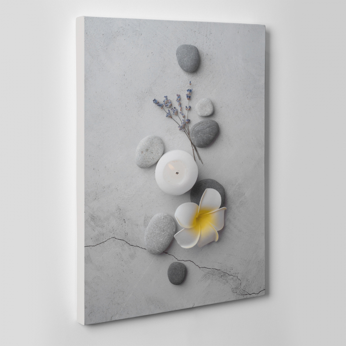 Tablou canvas Feng Shui, motiv oriental, Great Feng Shui [3]