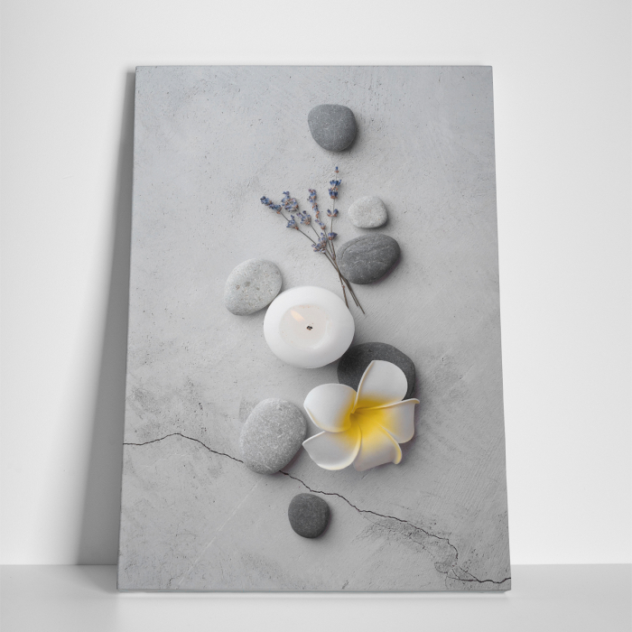 Tablou canvas Feng Shui, motiv oriental, Great Feng Shui [2]