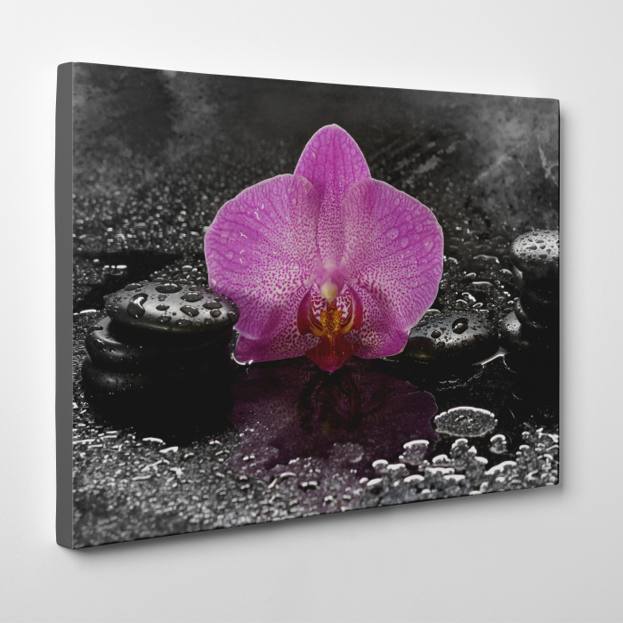 Tablou canvas Feng Shui, motiv oriental, Orchid Dark Table [3]