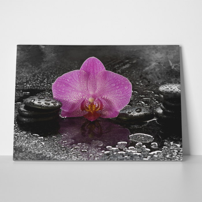 Tablou canvas Feng Shui, motiv oriental, Orchid Dark Table [2]