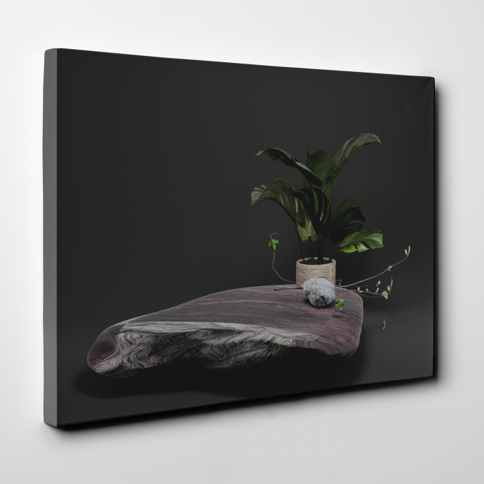 Tablou canvas Feng Shui, motiv oriental, Stones and Plants [3]