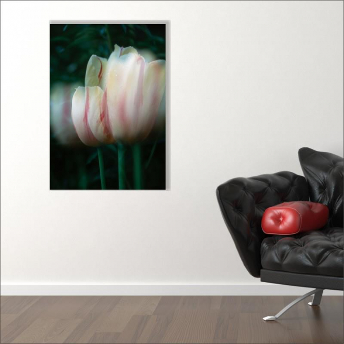 Tablou canvas floral, Blurred Tulip [2]