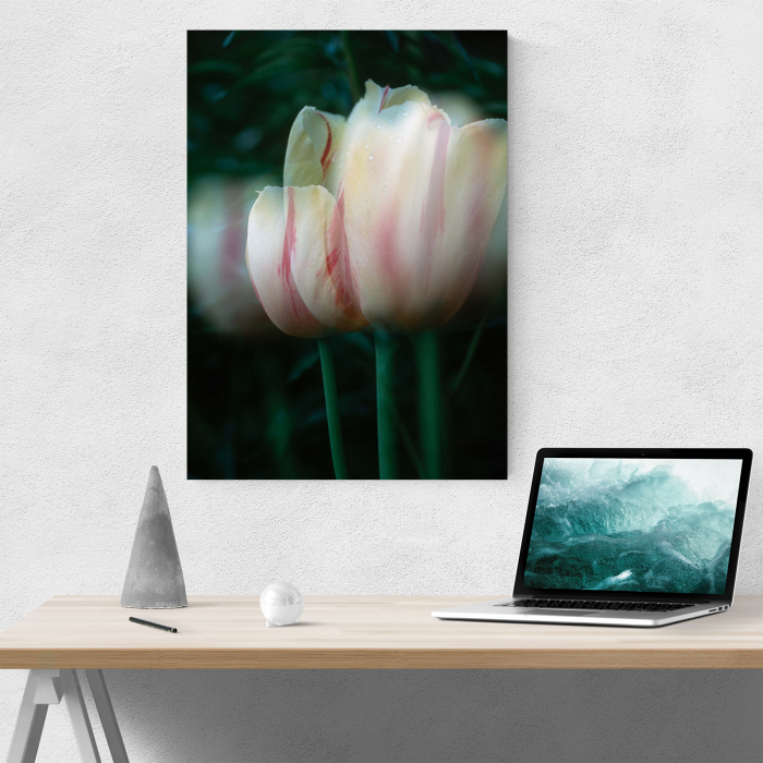 Tablou canvas floral, Blurred Tulip [5]
