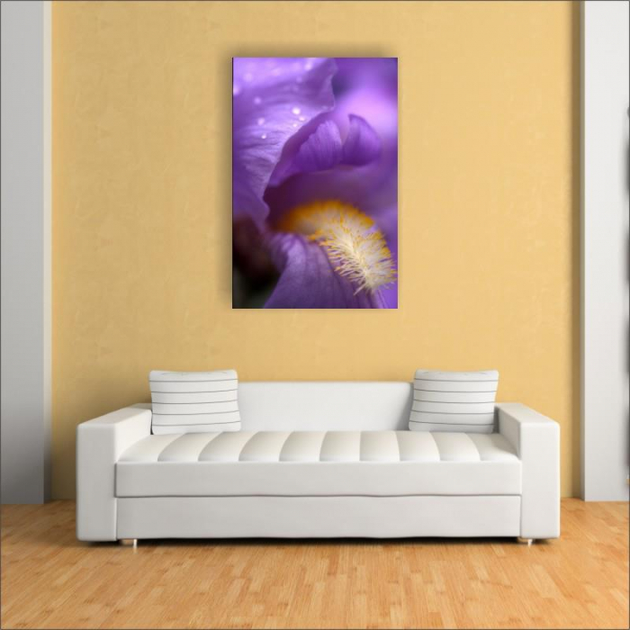 Tablou canvas floral, Lion's Mouth [3]