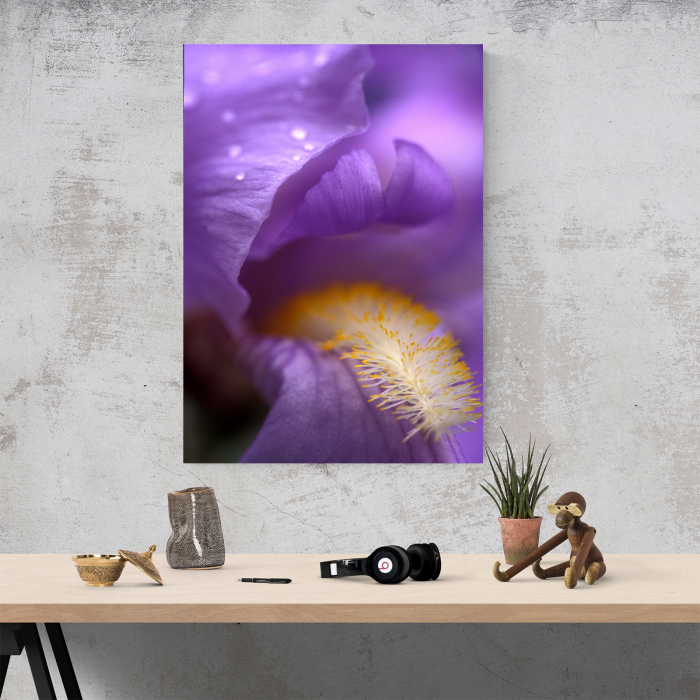Tablou canvas floral, Lion's Mouth [2]