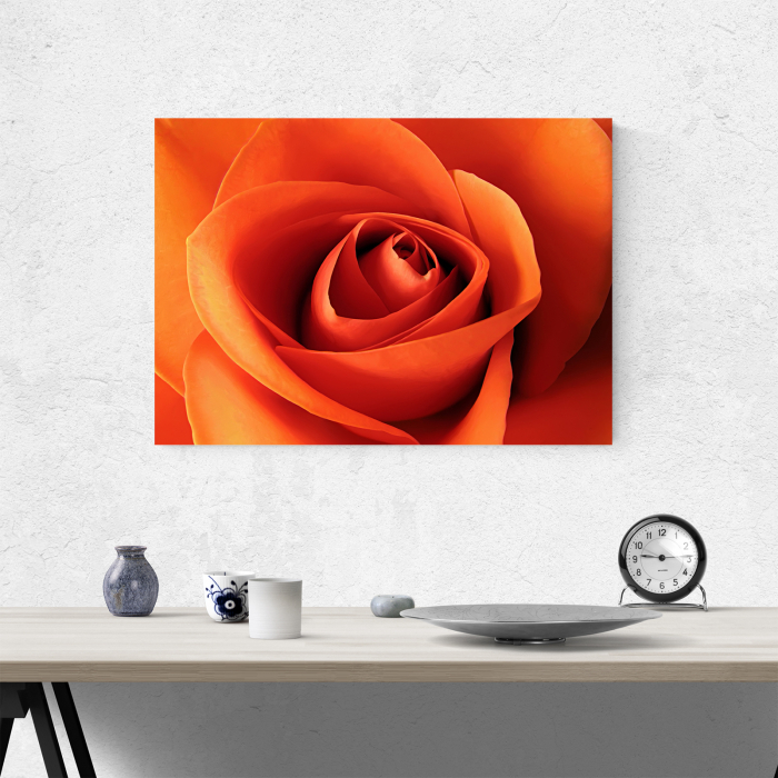 Tablou canvas floral, Orange Roses [4]