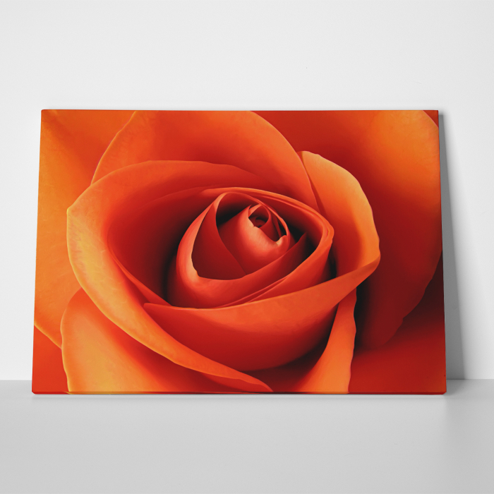 Tablou canvas floral, Orange Roses [2]