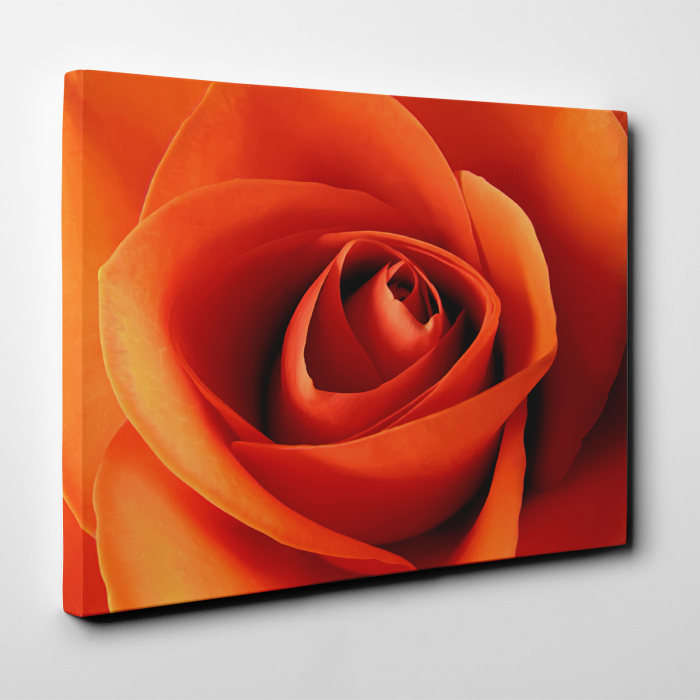 Tablou canvas floral, Orange Roses [3]