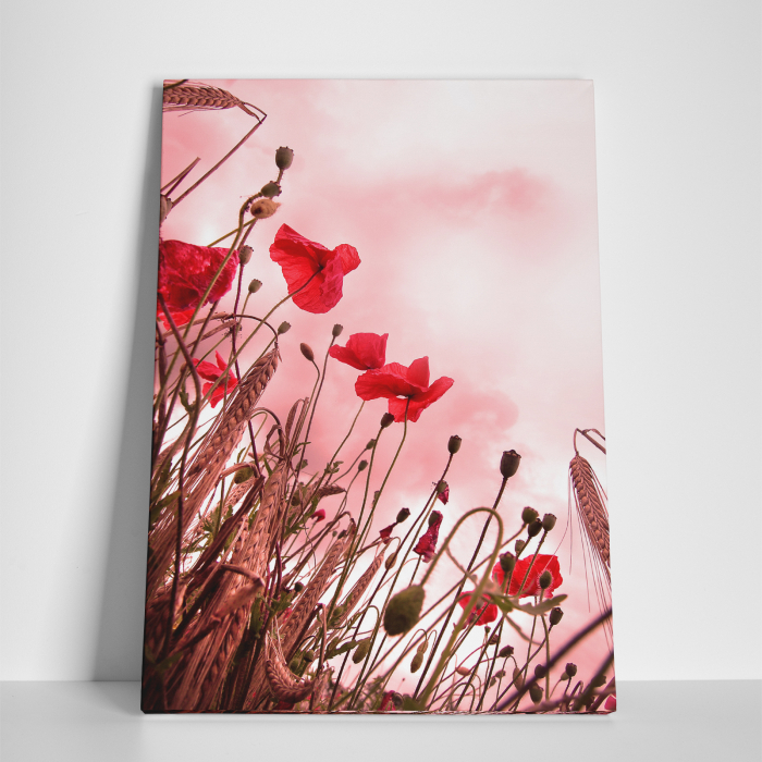 Tablou canvas floral, Pink and Poppies [3]
