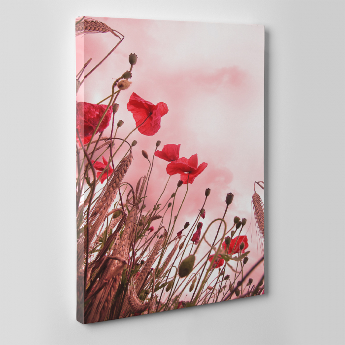 Tablou canvas floral, Pink and Poppies [4]