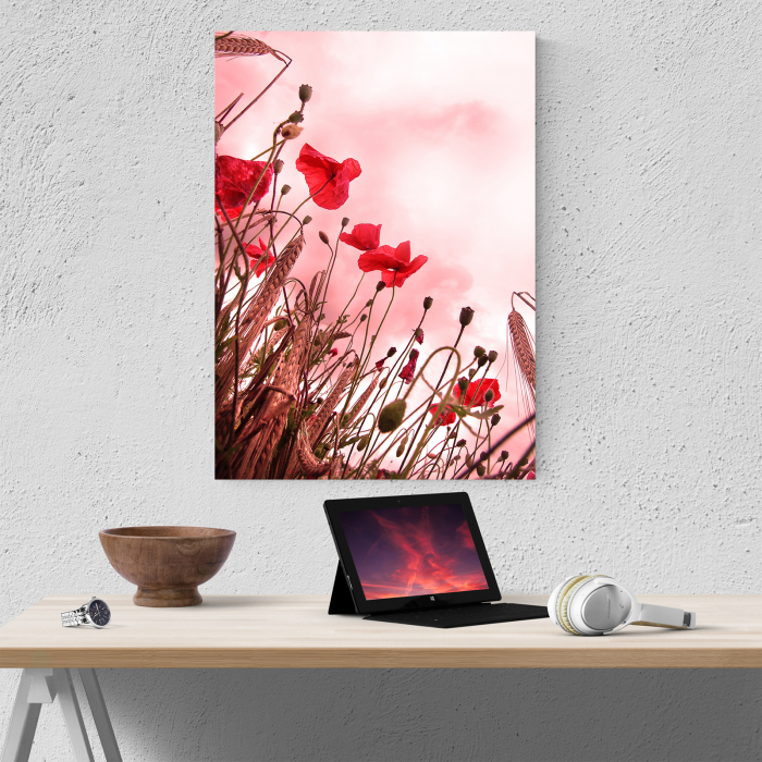 Tablou canvas floral, Pink and Poppies [5]