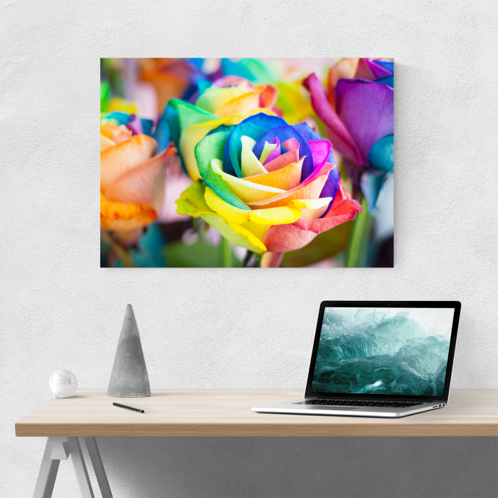 Tablou canvas floral, Rainbow Roses [2]