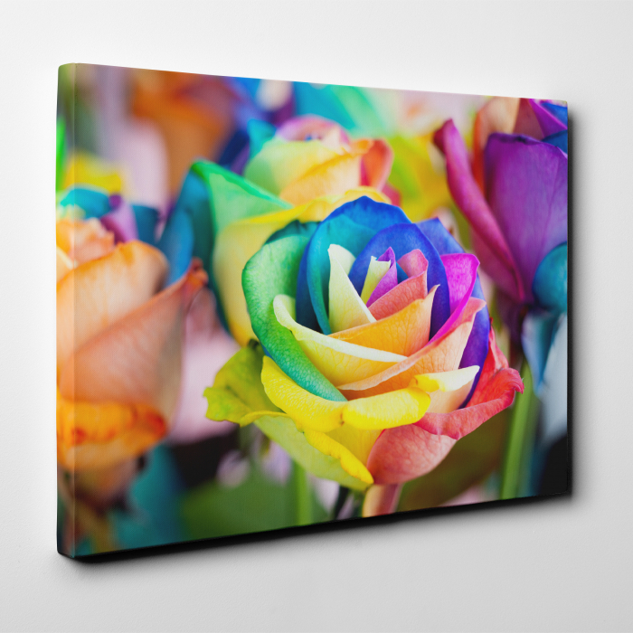 Tablou canvas floral, Rainbow Roses [4]