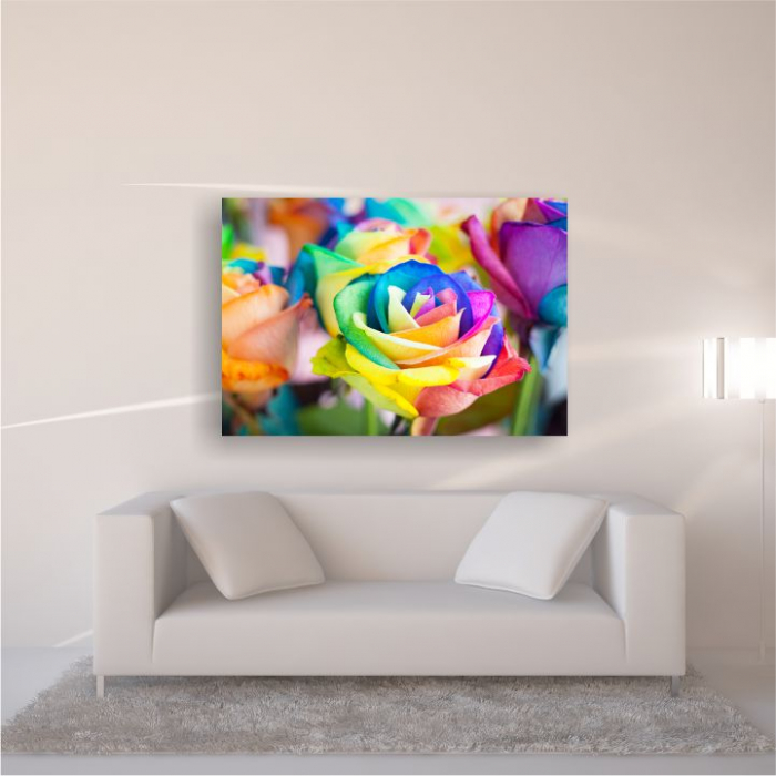Tablou canvas floral, Rainbow Roses [5]