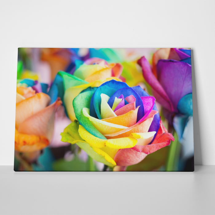 Tablou canvas floral, Rainbow Roses [3]