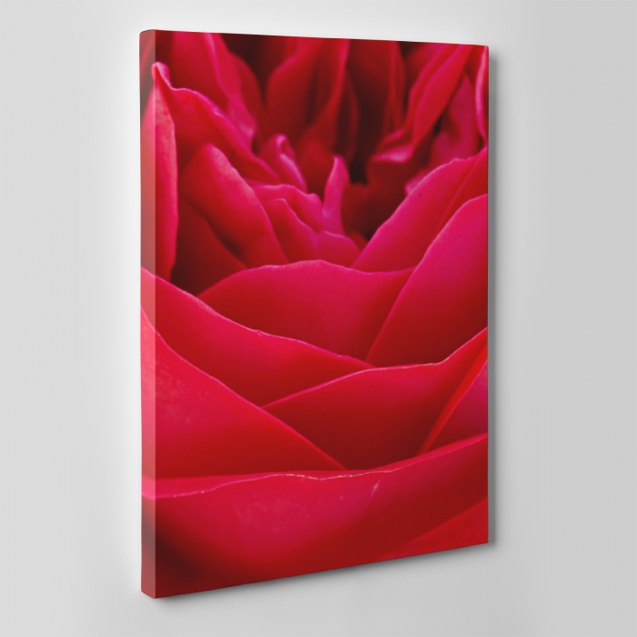 Tablou canvas floral, Red Power [5]