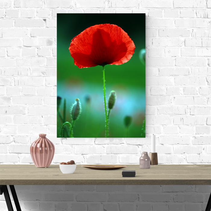 Tablou canvas floral, Red Spot [2]