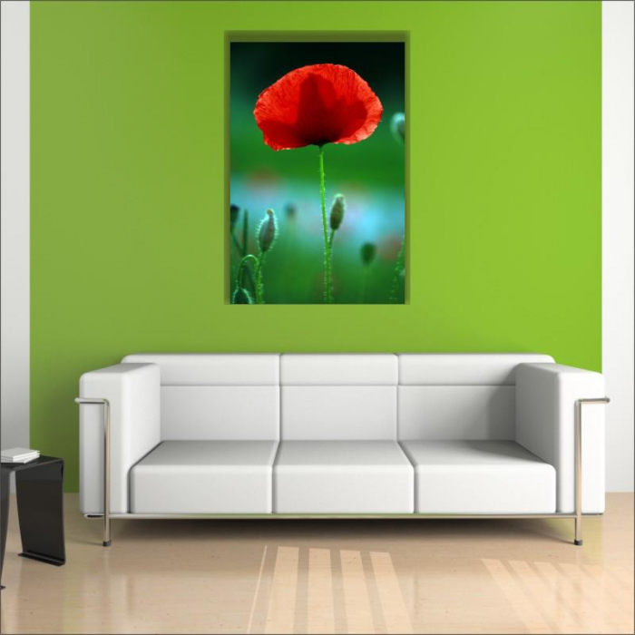 Tablou canvas floral, Red Spot [3]